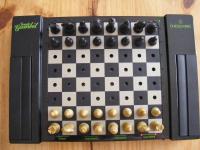 Chess King Counter Gambit