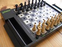 Chess King Counter Gambit