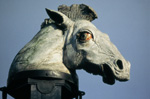 Benutzerbild von sambark