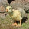 Benutzerbild von manni0815